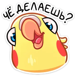 ❓ Чё делаешь? นก, นกแก้ว, ใบหน้า, รัสเซีย, ทักทาย, ทำอะไร, น่ารัก, สีเหลือง telegram sticker