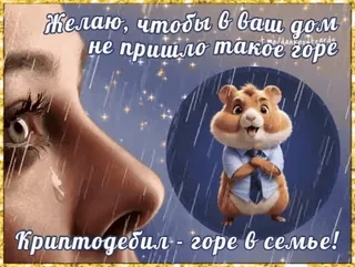 🌟 Желаю, чтобы в ваш дом
не пришло такое горе
Криптодебил - горе в семье! Trauer, Traurigkeit, Regen, Hamster, Tränen telegram sticker
