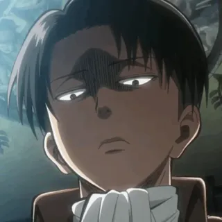 Levi Ackerman ; telegram stickers