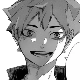 😂 Hinata Shoyo Haikyuu 애니메이션, 만화, 하이큐, 히나타, 쇼요 telegram sticker