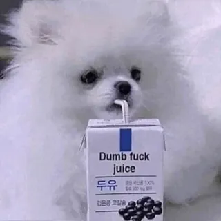🐩 Dumb fuck juice dog, juice, offensive, drink, meme telegram sticker