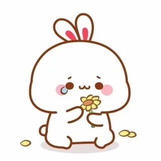 🌟 bunny, rabbit, cute, flower, sad, cartoon, sticker whatsapp sticker