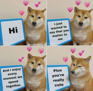 ❤️ Hi
wwholesome.latte
I just
wanted to
say that you
matter to
me
And i enjoy
every
moment we
spend
together.
Plus
you're
really
cute dog, shiba inu, cute, wholesome, meme, heart, positive, text telegram sticker