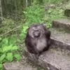 😊