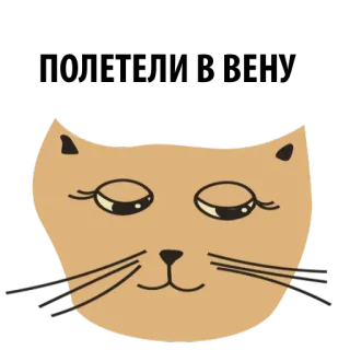 🌈 gato, animal, fofo, adesivo, animal doméstico, desenho animado, felino telegram sticker