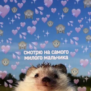 😍 смотрю на самого милого мальчика ハリネズミ, かわいい, ハート, 絵文字, 動物 telegram sticker