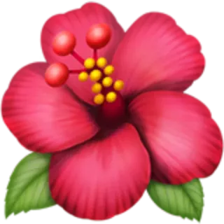 🌺 flower, hibiscus, plant, tropical, red, floral telegram sticker