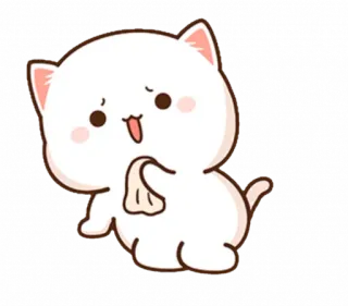 😱 chat, mignon, dessin animé, animal, kawaii, essuyage whatsapp sticker