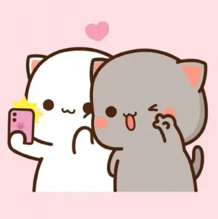 ✨ gatto, carino, selfie, rosa, cuore, cartone animato telegram sticker