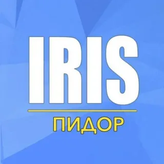🌟 IRIS
ПИДОР текст, русский, оскорбление telegram sticker