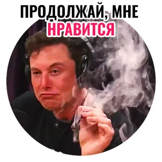 😄 Elon Musk ПРОДОЛЖАЙ, МНЕ НРАВИТСЯ Elon Musk, fumando, meme, celebridade, maconha, erva telegram sticker