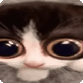 😳