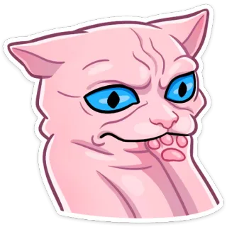 🤔 кот, сфинкс кот, смешной, мем, мем с котом, лысый кот telegram sticker