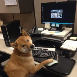 😕 chien, shiba inu, bureau, ordinateur, travail, drôle, mème, bureau whatsapp sticker