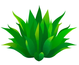 🪴 plant, green, grass, flora, nature telegram sticker