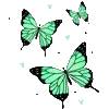 🦋