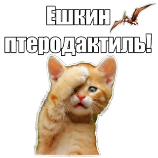 😱 ЕШКИН птеродактиль! cat, pterodactyl, dinosaur, funny, meme telegram sticker