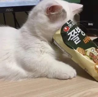 🐾 오경 통밀 바 gato, snack, comida, mascota, lindo telegram sticker