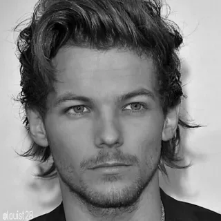 😐 Louis Tomlinson Louis Tomlinson, cantor, celebridade, retrato telegram sticker