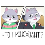 😐 ЧТО ПРОИСХОДИТ? cat, cartoon, animal, expression, russian telegram sticker