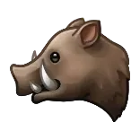 🐗