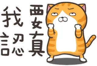 💪 我要认真 Katze, Cartoon, Entschlossenheit, Motivation, Chinesischer Text telegram sticker