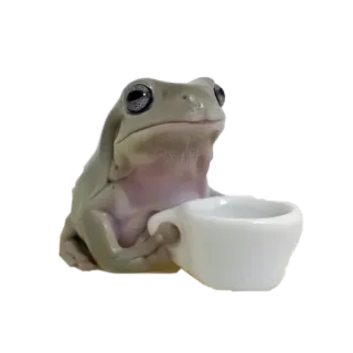 🥱 kikker, thee, schattig, dier telegram sticker