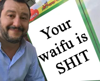 💔 Your waifu is SHIT Waifu, Insulto, Meme, Salvini telegram sticker