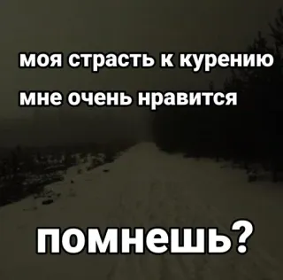 Больше стиков тут: @stikery4 whatsapp stickers