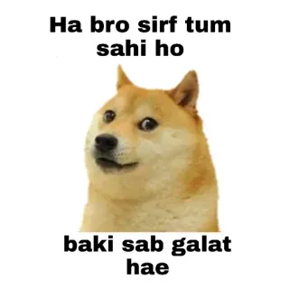 👍 Doge Doge Meme Ha bro sirf tum sahi ho baki sab galat hae doge, meme, sarcasm, dog, humor telegram sticker