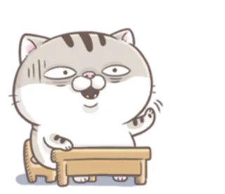 🙀 cat, animal, sitting, table, chair telegram sticker
