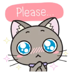 😊 Please... gato, fofo, implorando, pedindo, kawaii, olhos, brilhante whatsapp sticker