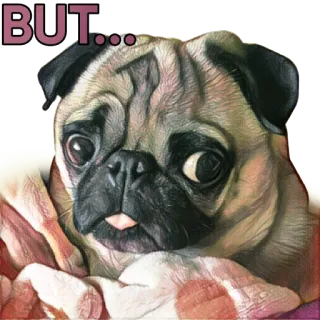 😦 BUT... 퍼그, 개, 엉덩이, 밈, 귀여운, 동물, 애완동물 telegram sticker