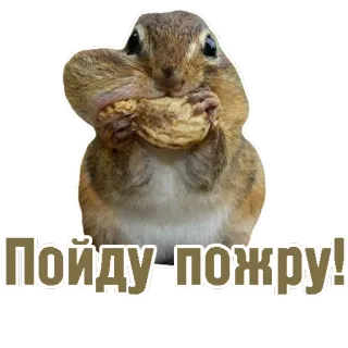 TCA telegram stickers