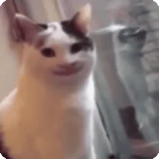 🤨
