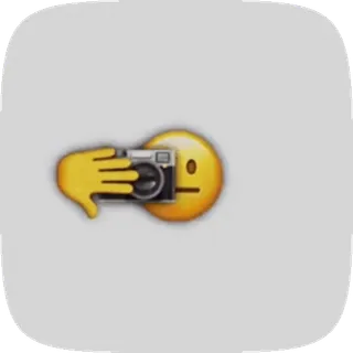 🤡 이모지, 카메라, 사진, 손, 사진 찍기 whatsapp sticker