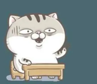 😖 Katze, Tier, Cartoon, lustig, süß, Tisch, Stuhl telegram sticker