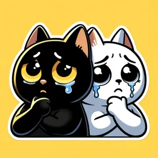 😩 cat, crying, sad, black cat, white cat, sticker, emotional telegram sticker