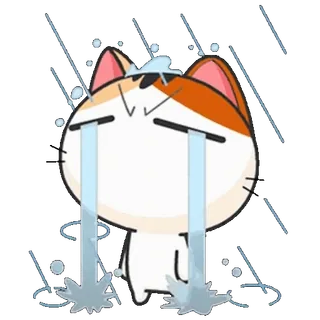 😭 แมว, ร้องไห้, เศร้า, ฝน, การ์ตูน, สติกเกอร์, อีโมจิ telegram sticker