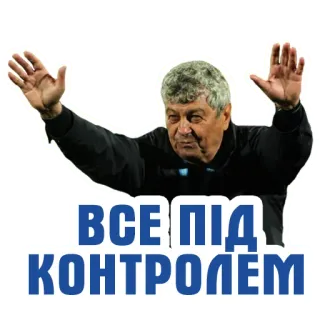 👌 ВСЕ ПІД КОНТРОЛЕМ man, text, all under control, ukrainian, person telegram sticker
