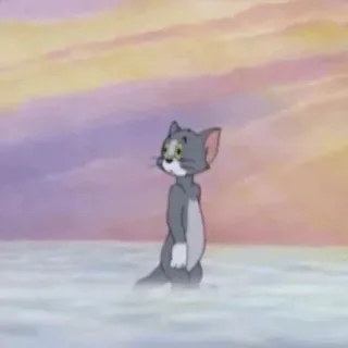 🔗 Tom Cat mèo, hoạt hình, động vật, nhân vật telegram sticker