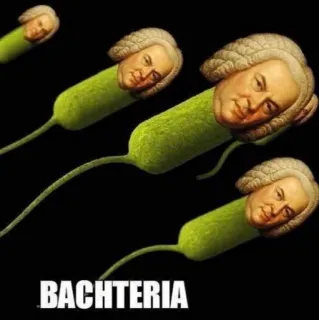 🦠 BACHTERIA bacteria, bach, music, funny, meme telegram sticker