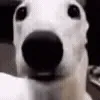 🥶