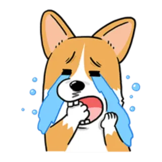 😭 corgi, dog, crying, sad, emoji, cartoon, sticker telegram sticker