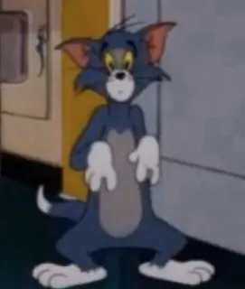 🧡 Tom Tom and Jerry mèo, hoạt hình, hài hước, meme, Tom và Jerry, Tom telegram sticker