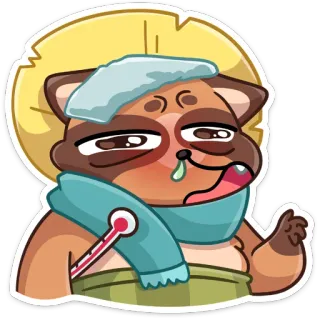🤒 mapache, enfermo, enfermedad, termómetro, dibujos animados, pegatina whatsapp sticker