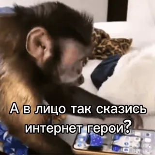 🤡 А в лицо так скажись интернет герои? telegram sticker