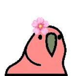 🦜 parrot, bird, flower, cute, pink, animal, sticker telegram sticker