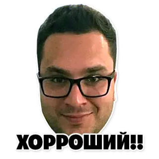 👌 ХОРРОШИЙ!! visage, homme, lunettes, russe, texte telegram sticker