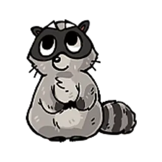 Енотик / Raccoon whatsapp stickers